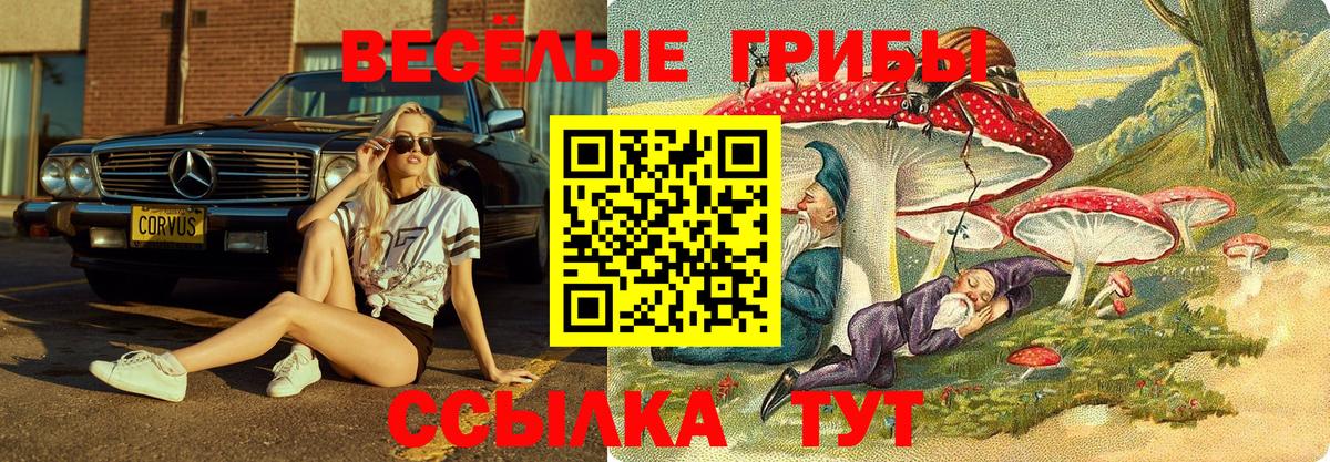 Псилоцибиновые грибы мицелий  Псилоцибиновые грибы MAGIC MUSHROOMS  Вход с VPN  Кириши 