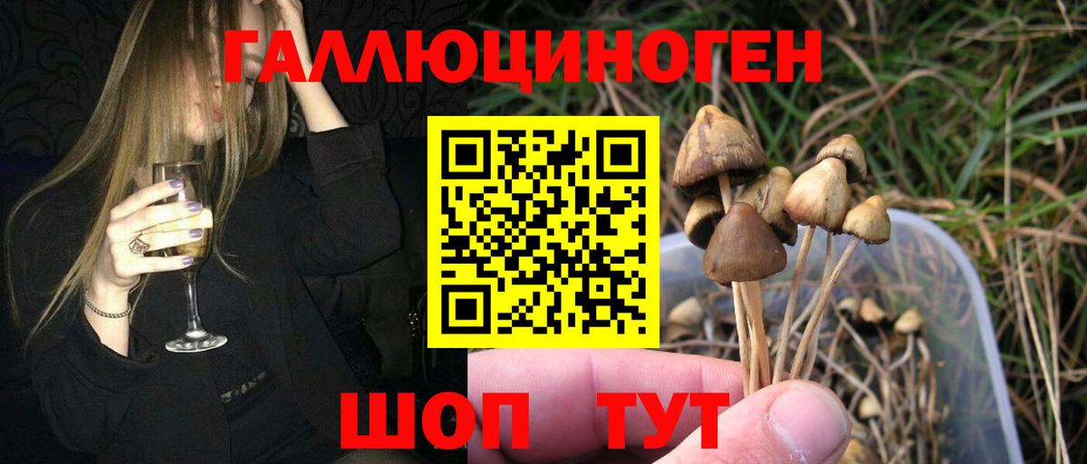 Галлюциногенные грибы Magic Shrooms Кириши